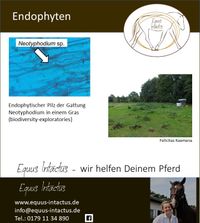 Endophyten